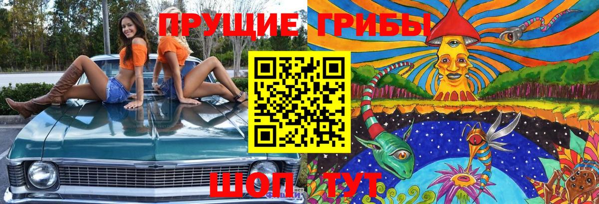 сколько стоит  Псилоцибиновые грибы прущие грибы  Псилоцибиновые грибы Psilocybine cubensis  Вход с VPN  Октябрьский 